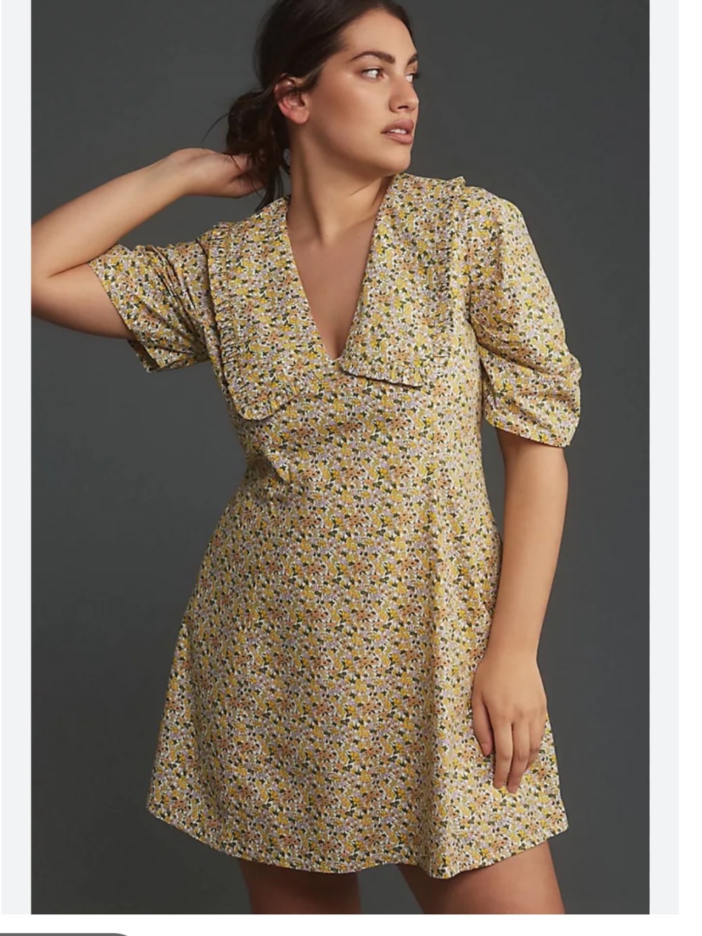 Anthropologie Peter Pan collared dress